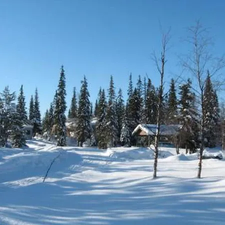 Holiday Sinitiainen